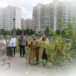 расписание служб в храме кожухово живоначальной троицы. Смотреть фото расписание служб в храме кожухово живоначальной троицы. Смотреть картинку расписание служб в храме кожухово живоначальной троицы. Картинка про расписание служб в храме кожухово живоначальной троицы. Фото расписание служб в храме кожухово живоначальной троицы