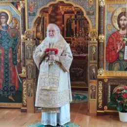 1 февраля день интронизации Великого Господина и нашего отца Святейшего Патриарха Московского и всея Руси  Кирилла.