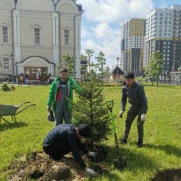 Память святых отцов первого вселенского собора отметили посадками новых деревьев и кустарников на территории любимого храма!